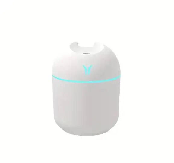 Home Mini Aromatherapy