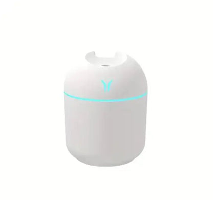 Home Mini Aromatherapy